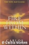 Castaneda, C.- The Fire from Within (1998, Touchstone) 